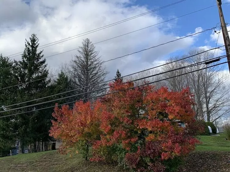 ベッドアンドブレックファースト Georgian Garden Inn