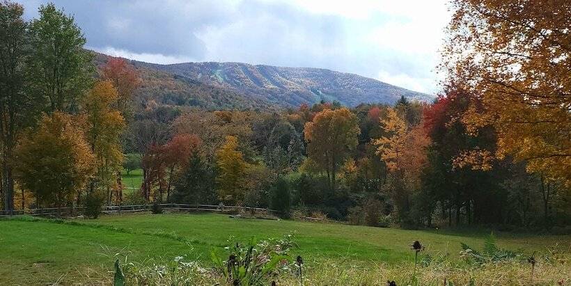 צימר Georgian Garden Inn