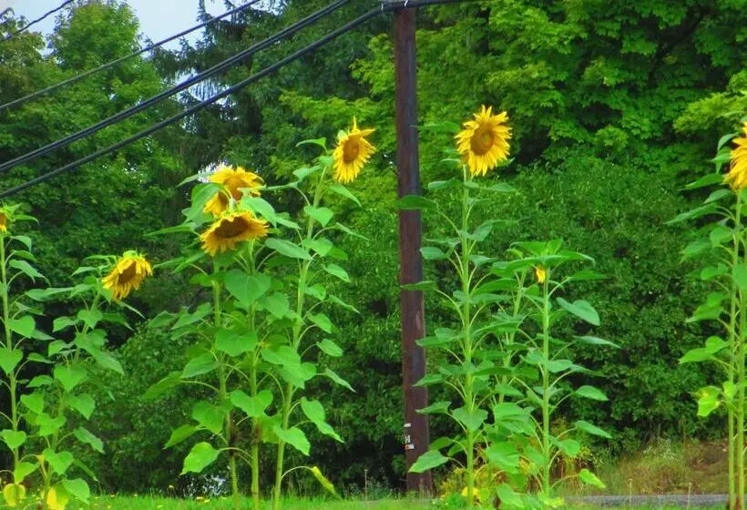 ベッドアンドブレックファースト Georgian Garden Inn