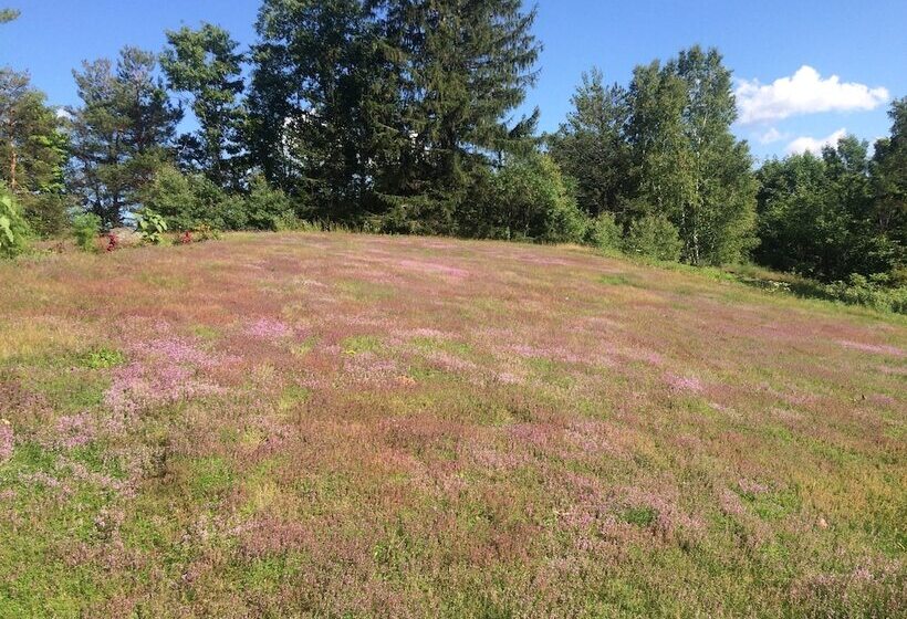 צימר Georgian Garden Inn