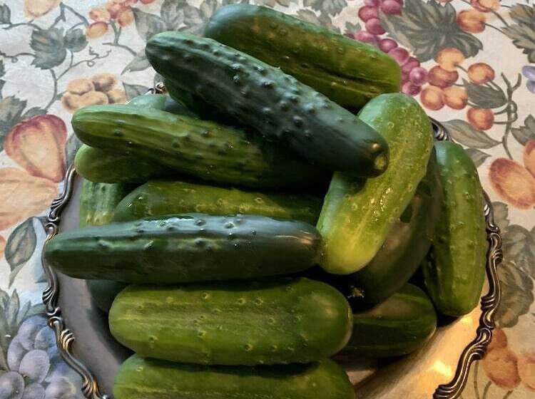 צימר Georgian Garden Inn