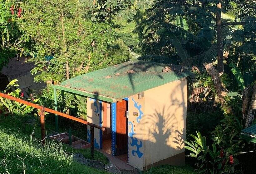 مسافرخانه Essence Arenal Spa & Yoga