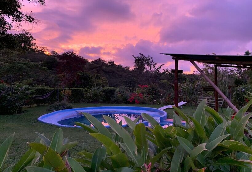 مسافرخانه Essence Arenal Spa & Yoga