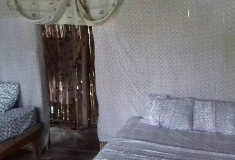 ホテル Cabañas Coco Blanco