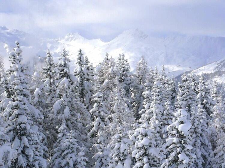 ホテル Chalet Des Domaines De La Vanoise
