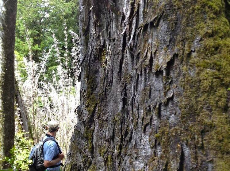Отель Peuma Lodge Patagonia