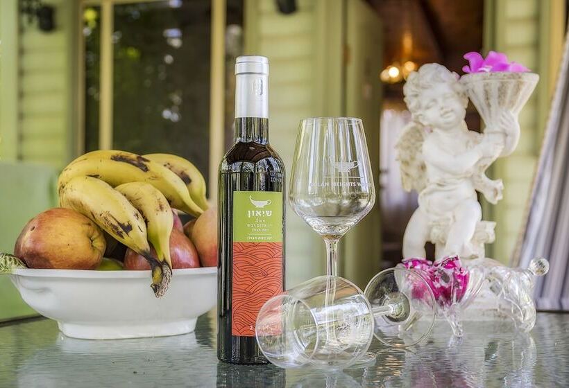 酒店 Sea Of Galilee Panoramic View