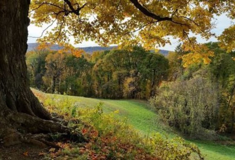 Journey Inn Bed & Breakfast