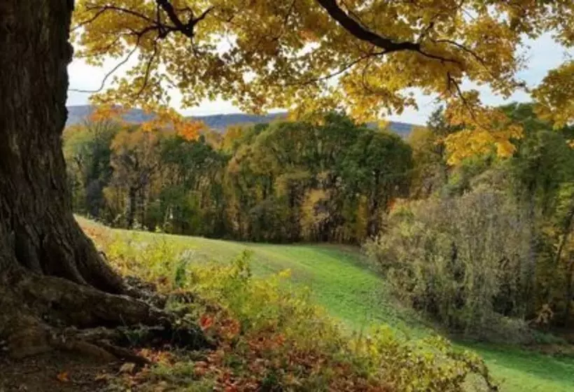 Journey Inn Bed & Breakfast