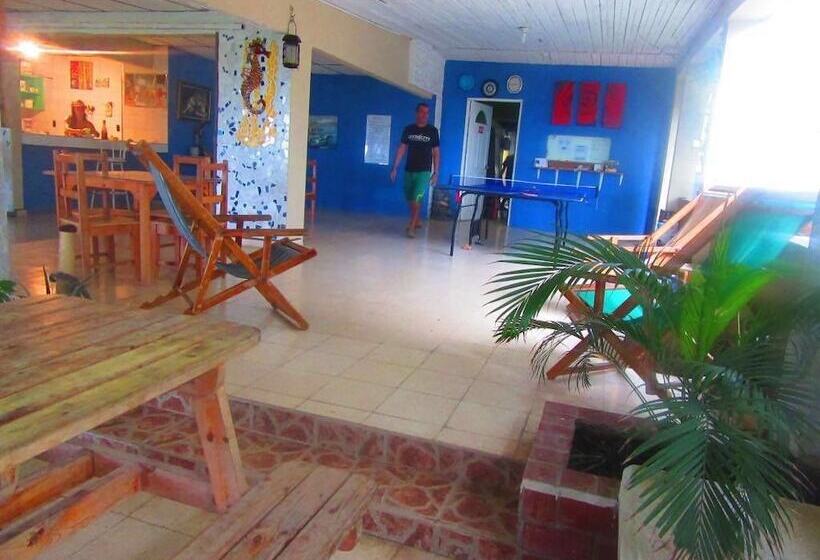 La Perla Del Pacifico   Hostel