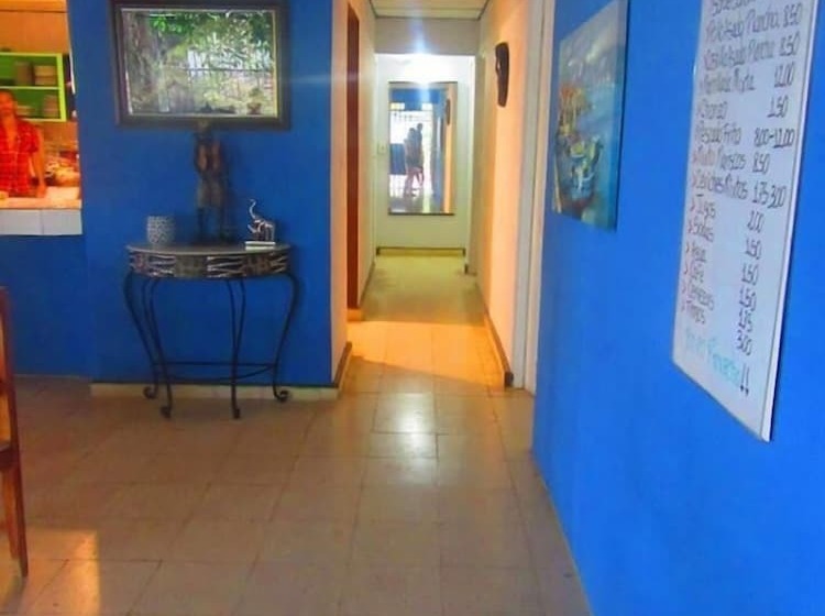 La Perla Del Pacifico   Hostel