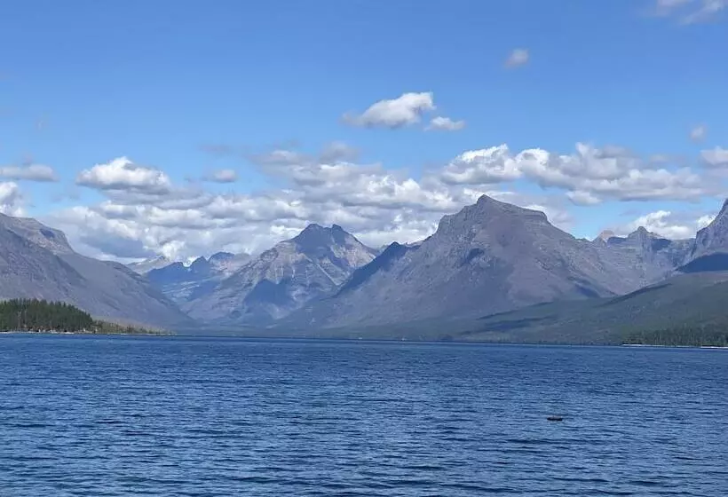The Reclusive Moose Cabins