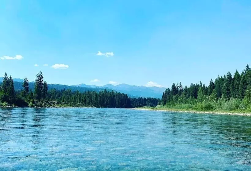 The Reclusive Moose Cabins