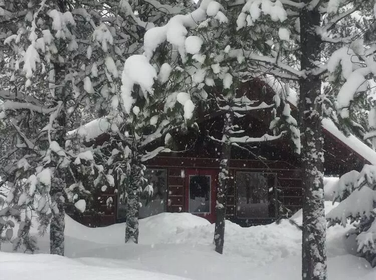 The Reclusive Moose Cabins
