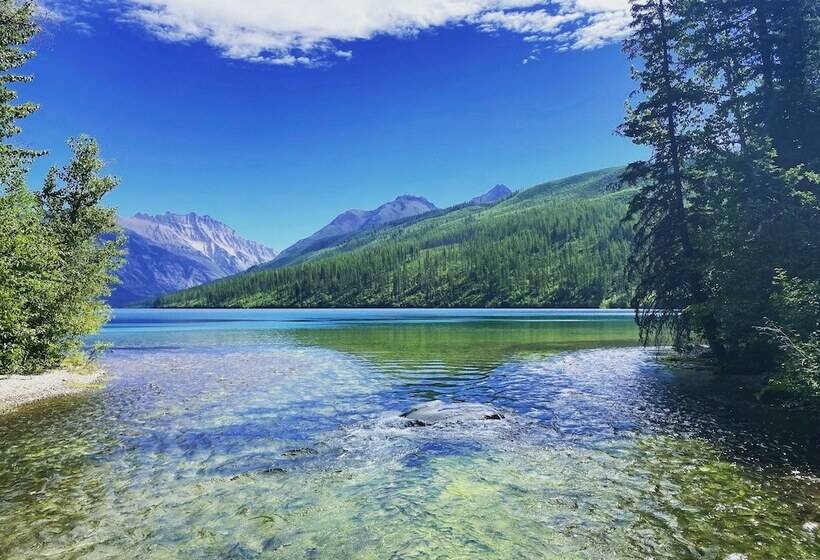 The Reclusive Moose Cabins