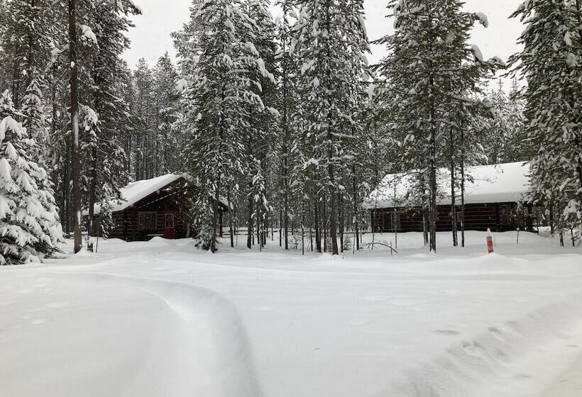 The Reclusive Moose Cabins