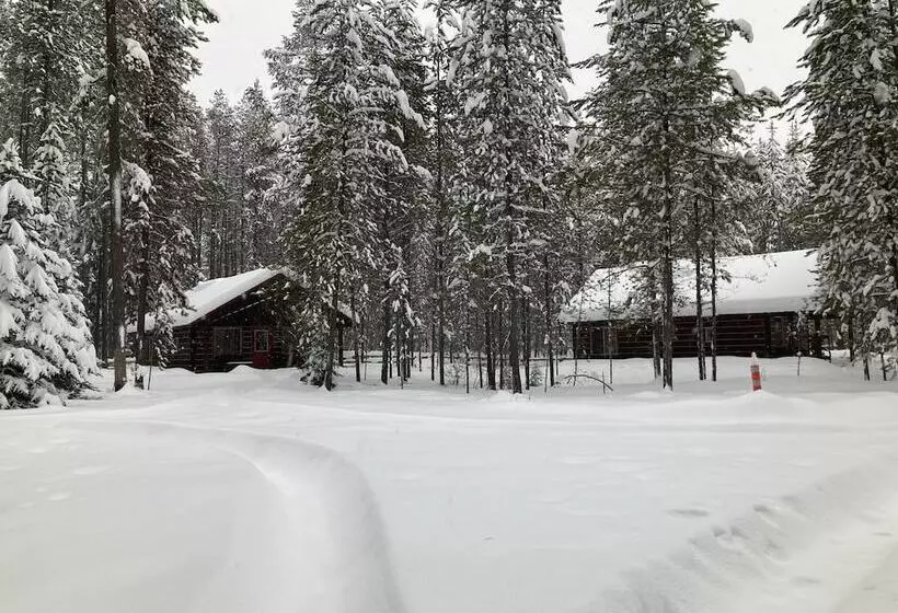 The Reclusive Moose Cabins