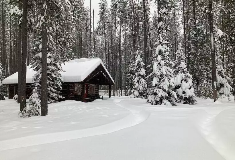 The Reclusive Moose Cabins