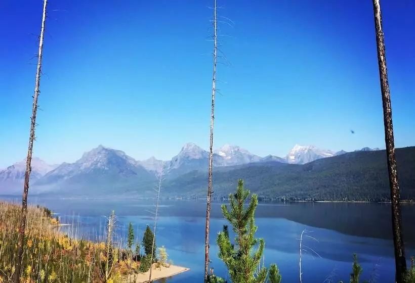The Reclusive Moose Cabins