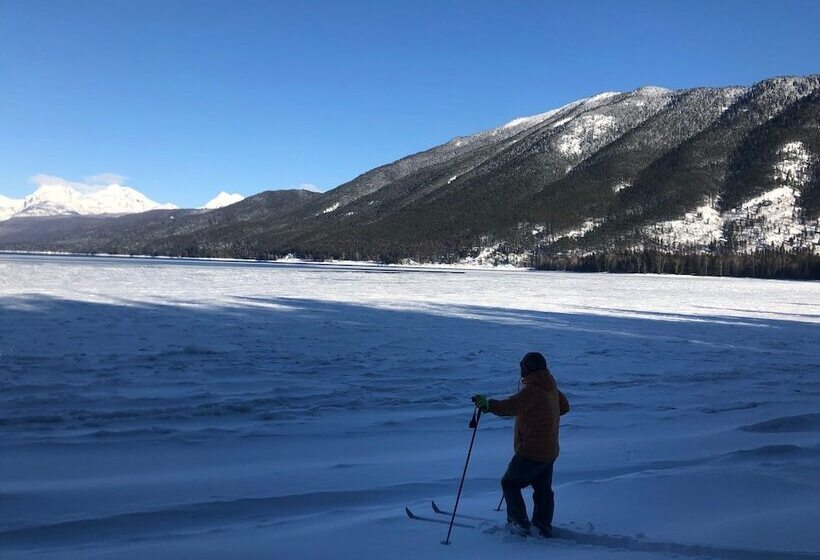 The Reclusive Moose Cabins