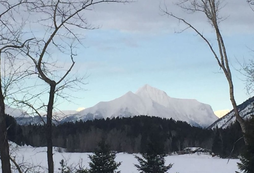 The Reclusive Moose Cabins