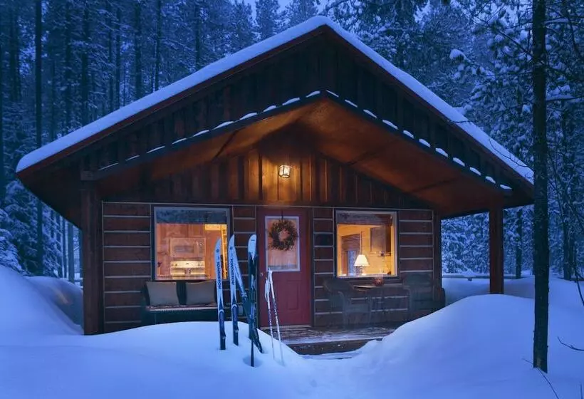 The Reclusive Moose Cabins