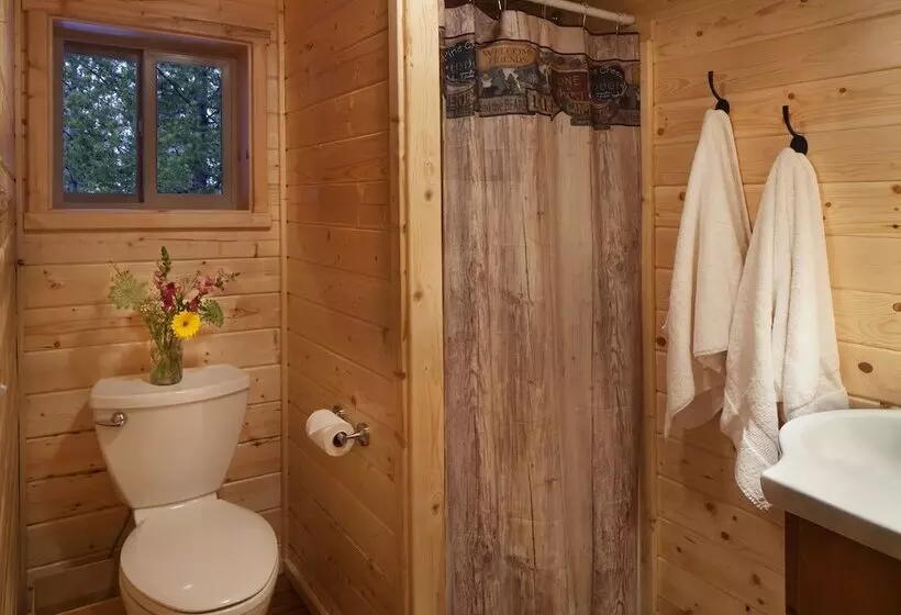 The Reclusive Moose Cabins