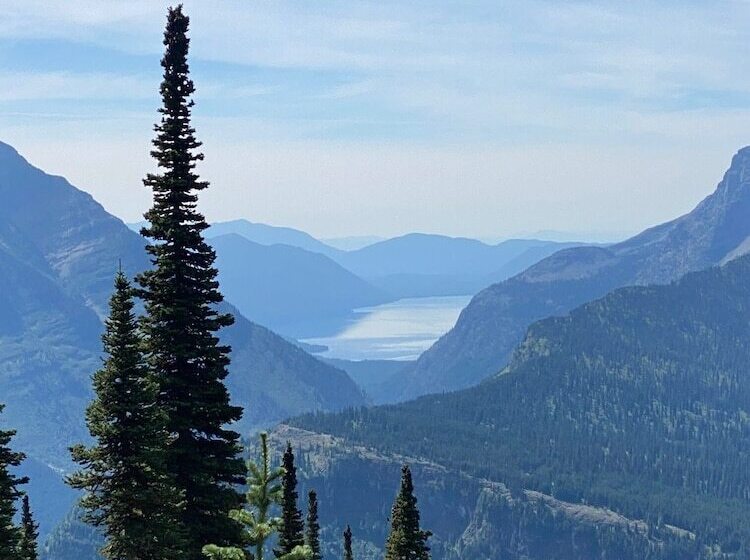 The Reclusive Moose Cabins