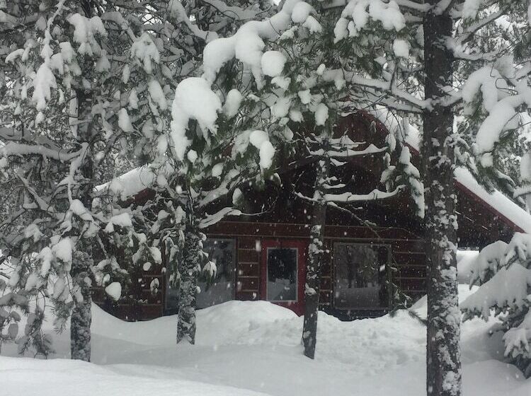 The Reclusive Moose Cabins