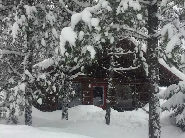 The Reclusive Moose Cabins