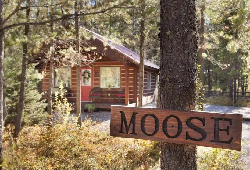 The Reclusive Moose Cabins