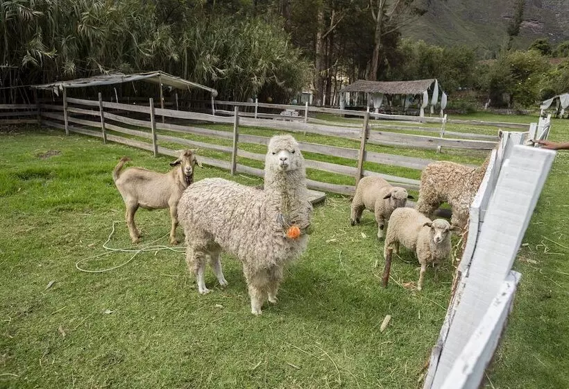 The Sacred Valley Lodge   Hotel Cusco   Hostel