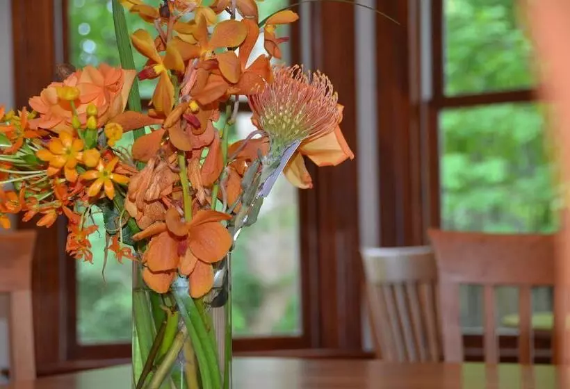 Aamiaismajoitus (B&B) 434 On Main