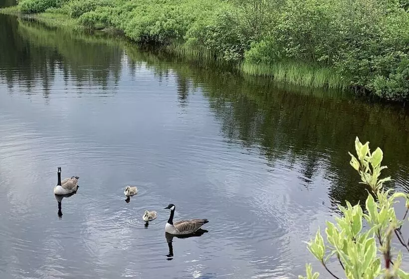 Aamiaismajoitus (B&B) Auberge Au Phil De L'eau
