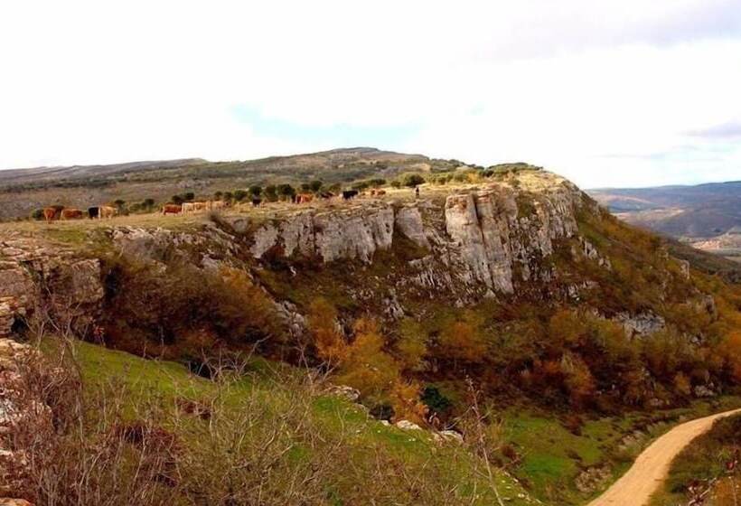 Ctr La Coruja Del Ebro