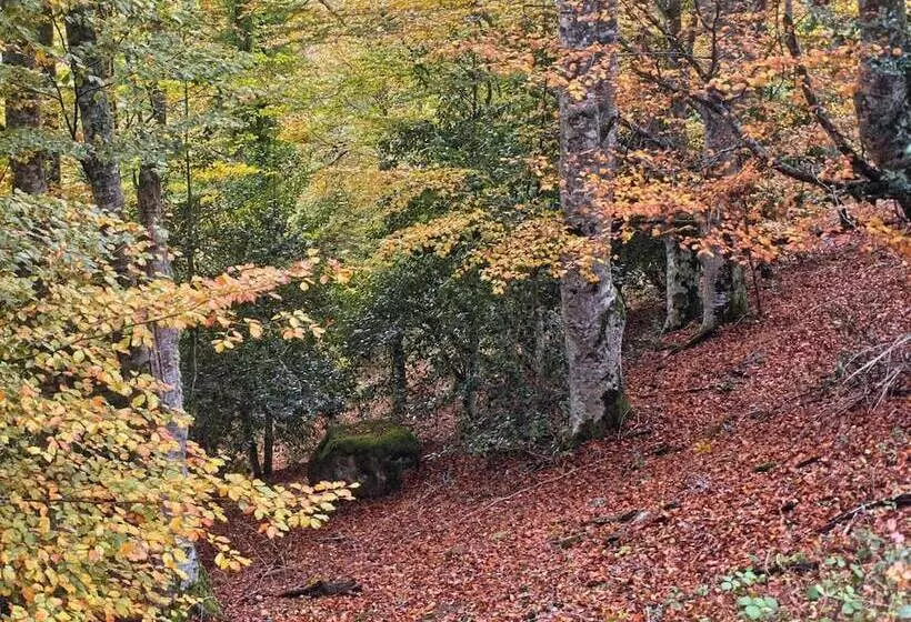 Ctr La Coruja Del Ebro