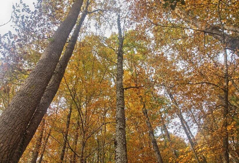 Ctr La Coruja Del Ebro