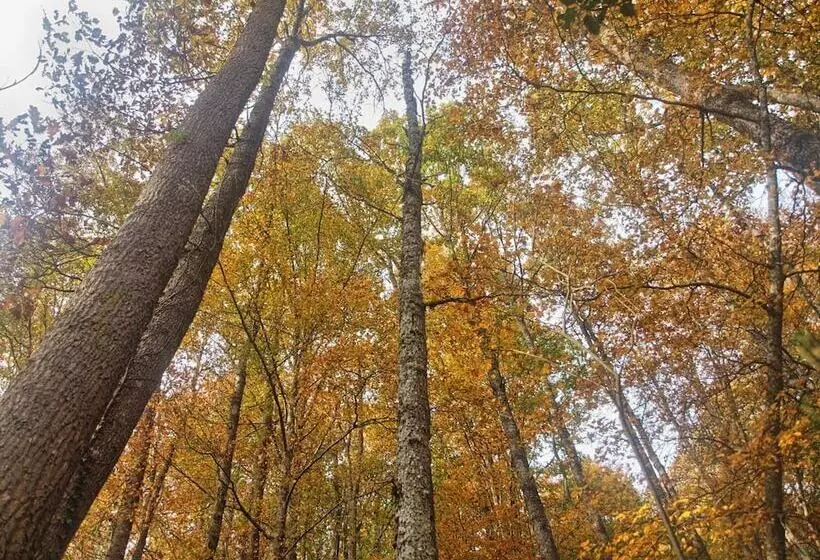 Ctr La Coruja Del Ebro