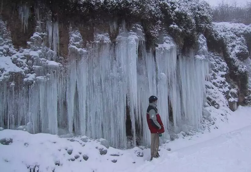 Ctr La Coruja Del Ebro