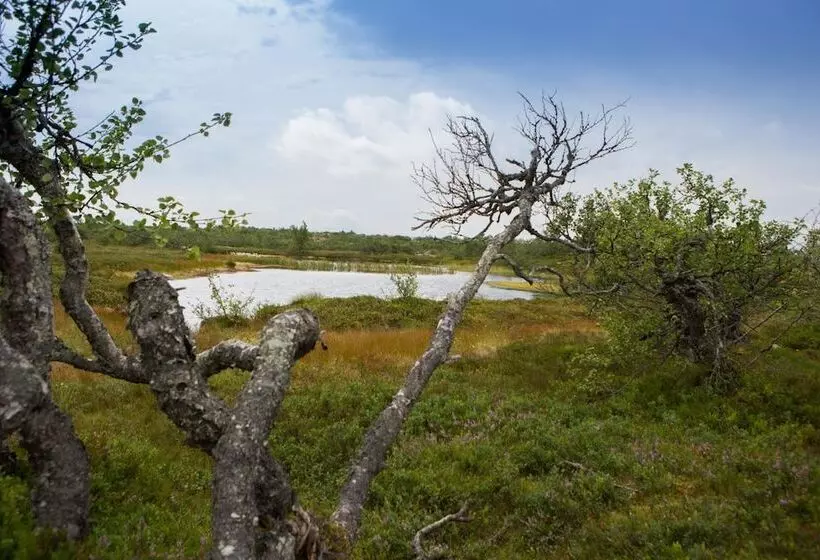 Fulufjällsgården   Hostel
