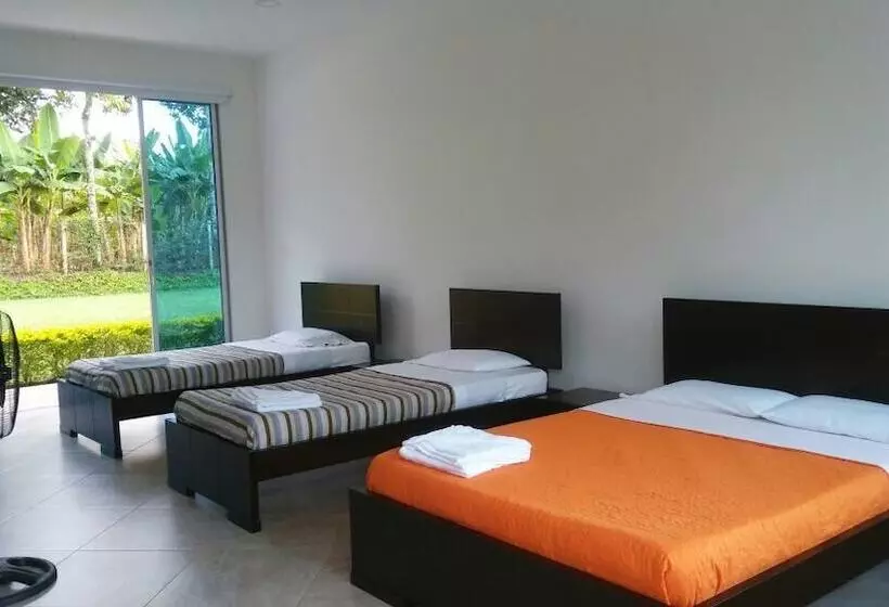 Hostelli La Felicidad