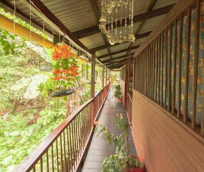 Herberg Posada Los Delfines