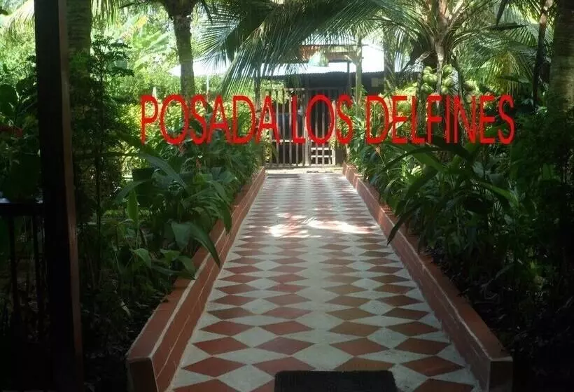 簡易ホテル Posada Los Delfines