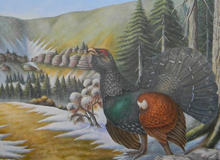 فندق Alpi   Foza