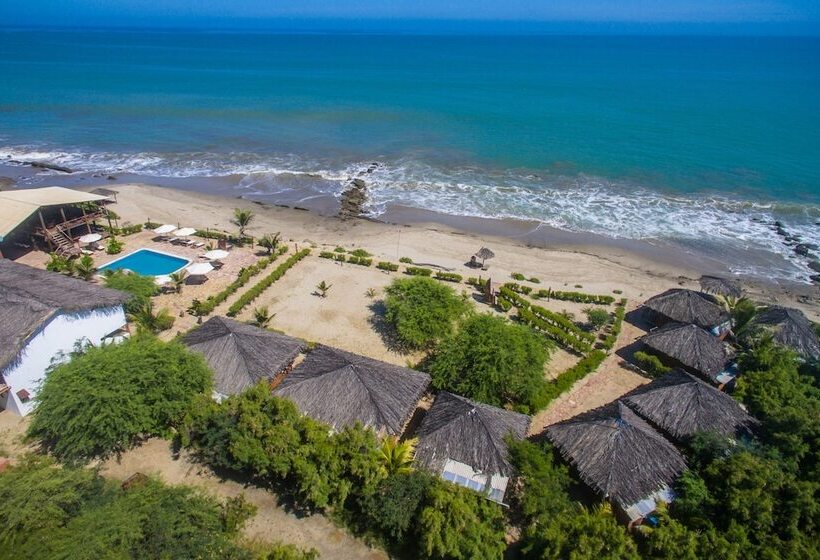 酒店 Bali Hai Bungalows