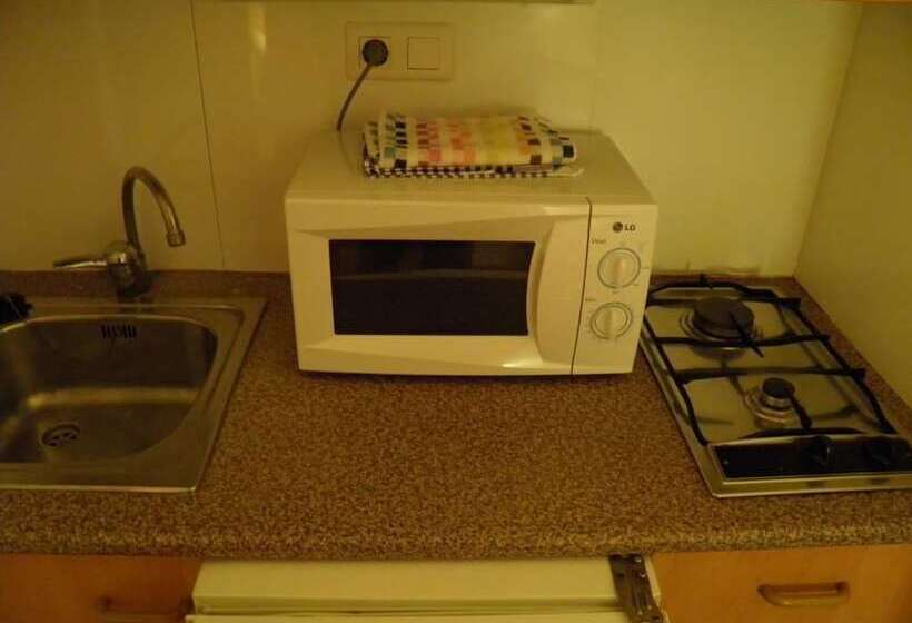 בית מלון כפרי Camping Morunys