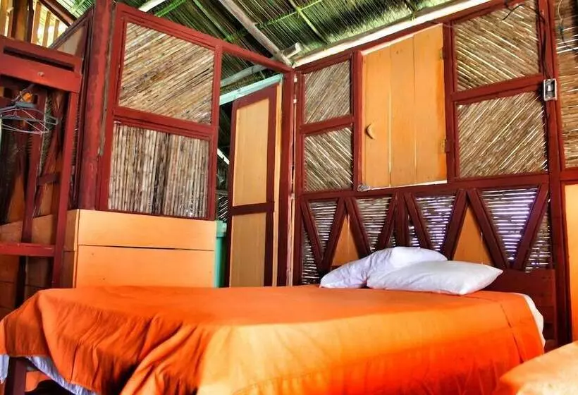 ホテル Dolphin Lodge Uaguinega