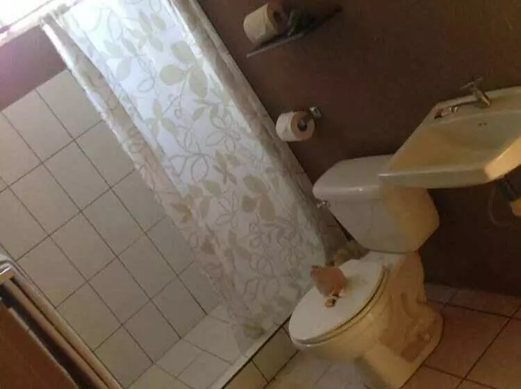 Hotelli Green Village