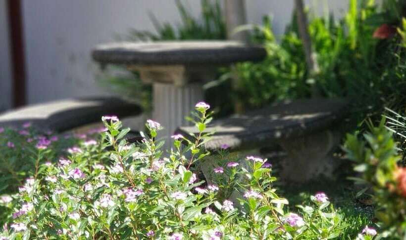 ホテル Los Volcanes Río Celeste