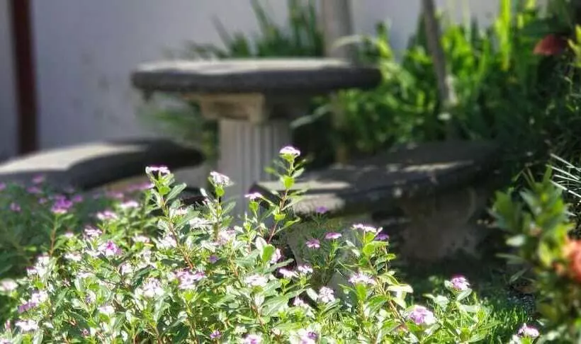 Hotelli Los Volcanes Río Celeste